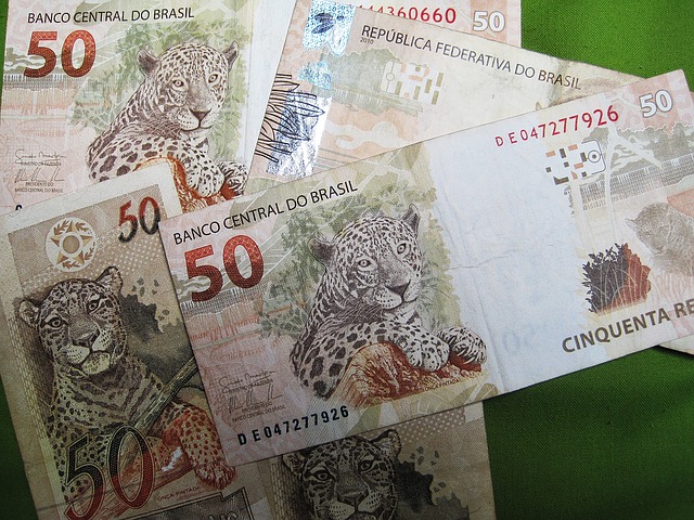 brazilské bankovky, jaguár